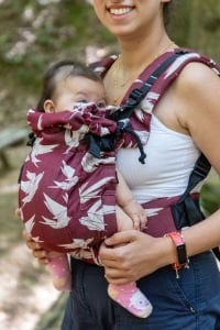 Huggy Softy Baby Size Carrier - Dock Valentine