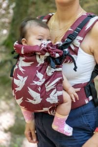 Huggy Softy Baby Size Carrier - Dock Valentine